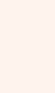 How flamingo.shop looks like on a mobile device such as an iPhone.