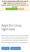 How flathub.org looks like on a mobile device such as an iPhone.