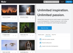 How flickr.com looks like on a tablet such as an iPad.