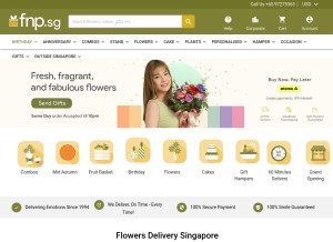 How fnp.sg looks like on a tablet such as an iPad.