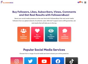 How followersbuzz.co looks like on a tablet such as an iPad.