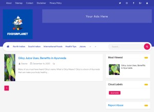 How foodsinplanet.com looks like on a tablet such as an iPad.