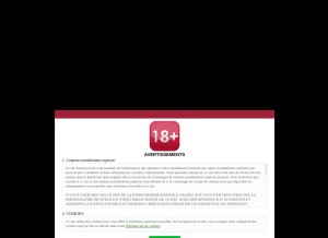 How freeadultcamsonline.com looks like on a tablet such as an iPad.