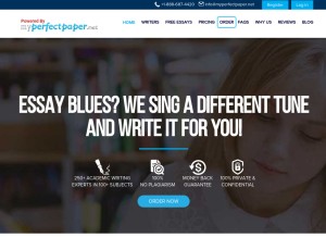How freeessaywriter.net looks like on a tablet such as an iPad.