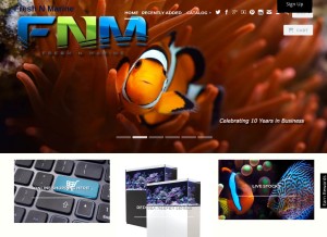 How freshnmarine.com looks like on a tablet such as an iPad.