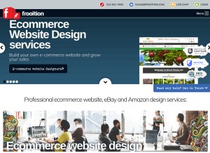 How frooition.com looks like on a tablet such as an iPad.