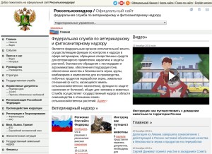 How fsvps.ru looks like on a tablet such as an iPad.