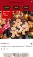How fujitsu.com looks like on a mobile device such as an iPhone.