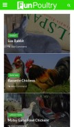How funpoultry.com looks like on a mobile device such as an iPhone.