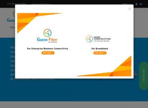 How gazonindia.com looks like on a tablet such as an iPad.