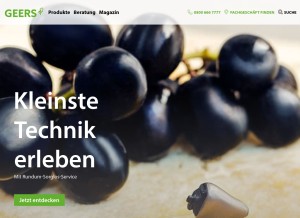 How geers.de looks like on a tablet such as an iPad.