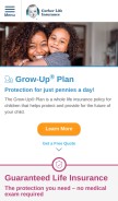 How gerberlife.com looks like on a mobile device such as an iPhone.