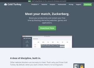 How getcoldturkey.com looks like on a tablet such as an iPad.
