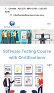How getsoftwareservice.com looks like on a mobile device such as an iPhone.