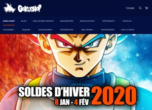 How goku-shop.fr looks like on a tablet such as an iPad.