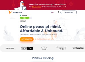 How goosevpn.com looks like on a tablet such as an iPad.