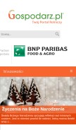 How gospodarz.pl looks like on a mobile device such as an iPhone.