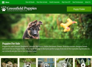 How greenfieldpuppies.com looks like on a tablet such as an iPad.