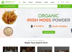 How greenjeeva.com looks like on a tablet such as an iPad.