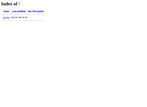 How gurkhahost.com looks like on a tablet such as an iPad.