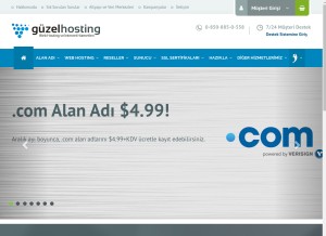 How guzelhosting.com looks like on a tablet such as an iPad.