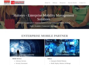 How halosys.com looks like on a tablet such as an iPad.