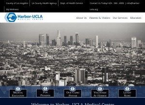 How harbor-ucla.org looks like on a tablet such as an iPad.