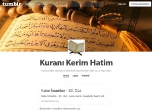 How hatimdersi.tumblr.com looks like on a tablet such as an iPad.