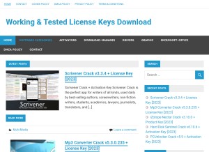 How hdlicense.com looks like on a tablet such as an iPad.