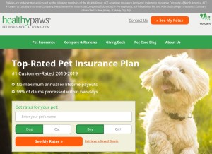 How healthypawspetinsurance.com looks like on a tablet such as an iPad.