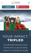 How heifer.org looks like on a mobile device such as an iPhone.