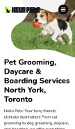 How hellopetsinc.com looks like on a mobile device such as an iPhone.