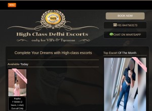 How highclassdelhiescorts.in looks like on a tablet such as an iPad.