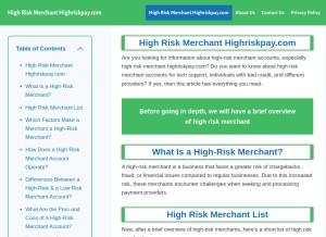 How highriskmerchantshighriskpay.com looks like on a tablet such as an iPad.