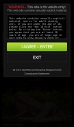 How hollyrandall.com looks like on a mobile device such as an iPhone.