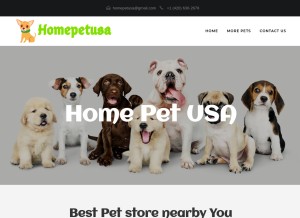 How homepetusa.com looks like on a tablet such as an iPad.