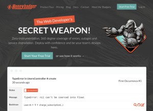 How honeybadger.io looks like on a tablet such as an iPad.