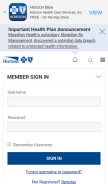 How horizonblue.com looks like on a mobile device such as an iPhone.