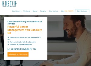 How hostek.com looks like on a tablet such as an iPad.