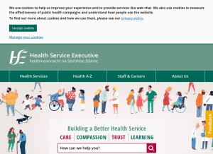 How hse.ie looks like on a tablet such as an iPad.