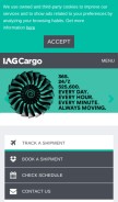 How iagcargo.com looks like on a mobile device such as an iPhone.