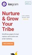 How icegram.com looks like on a mobile device such as an iPhone.