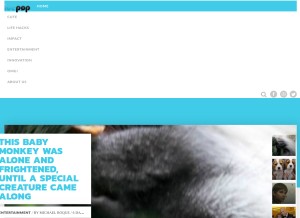 How icepop.com looks like on a tablet such as an iPad.