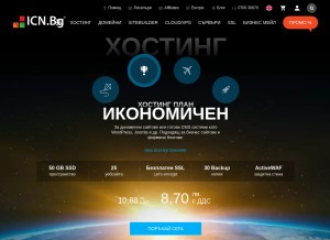 How icnhost.net looks like on a tablet such as an iPad.