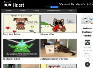 How iizcat.com looks like on a tablet such as an iPad.