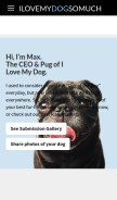 How ilovemydogsomuch.tv looks like on a mobile device such as an iPhone.