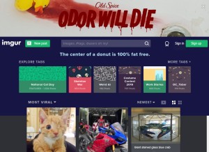 How imgur.com looks like on a tablet such as an iPad.