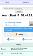 How infobyip.com looks like on a mobile device such as an iPhone.
