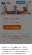 How ing.lu looks like on a mobile device such as an iPhone.