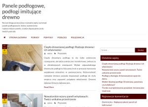 How inspirus.com.pl looks like on a tablet such as an iPad.